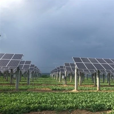 Agrivoltaic